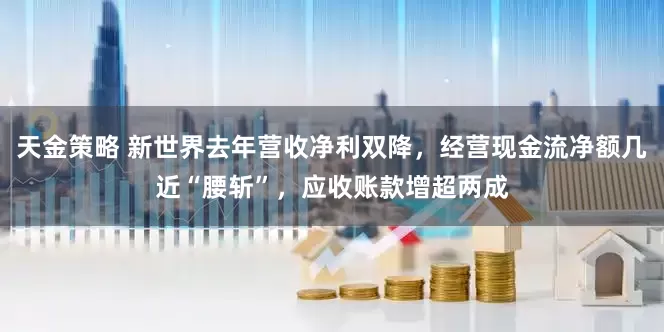 天金策略 新世界去年营收净利双降，经营现金流净额几近“腰斩”，应收账款增超两成